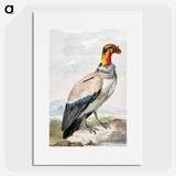 King vulture - アールト シューマン Poster.