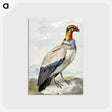 1-30_Aert-Schouman_postcard