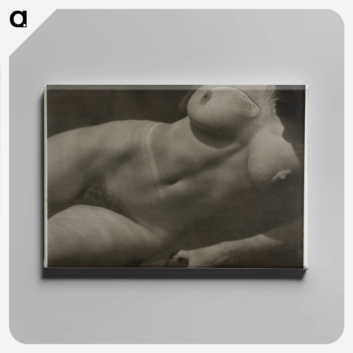 1-30_Alfred-Stieglitz_canvas