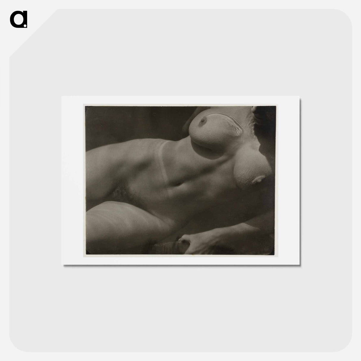 アートポストカード-Rebecca Salsbury Strand - アルフレッド スティーグリッツ Postcard.