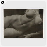 1-30_Alfred-Stieglitz_picture-crop