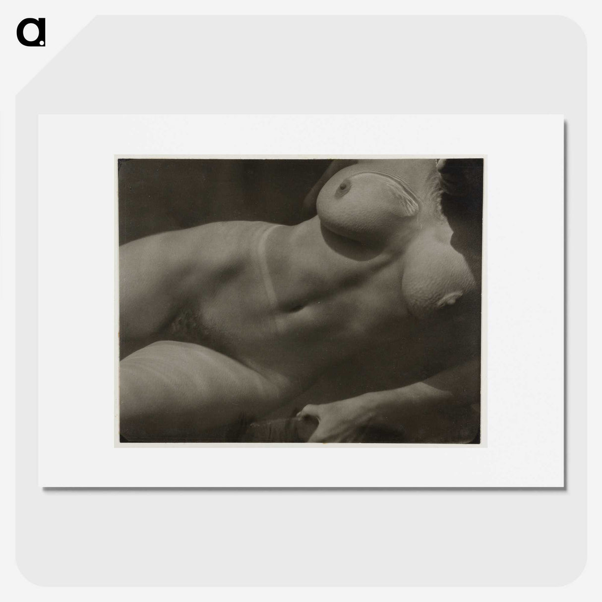 1-30_Alfred-Stieglitz_picture