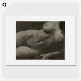 1-30_Alfred-Stieglitz_picture