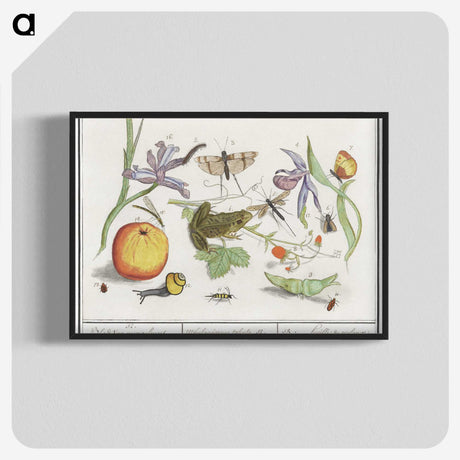1-30_Anselmus-Boetius-de-Boodt_blk-crop
