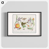 Natural History Ensemble, no. 12 - アンセルムス ボエティウス デ ブート Poster.