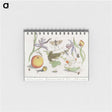 1-30_Anselmus-Boetius-de-Boodt_memo