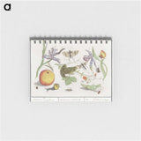 1-30_Anselmus-Boetius-de-Boodt_memo