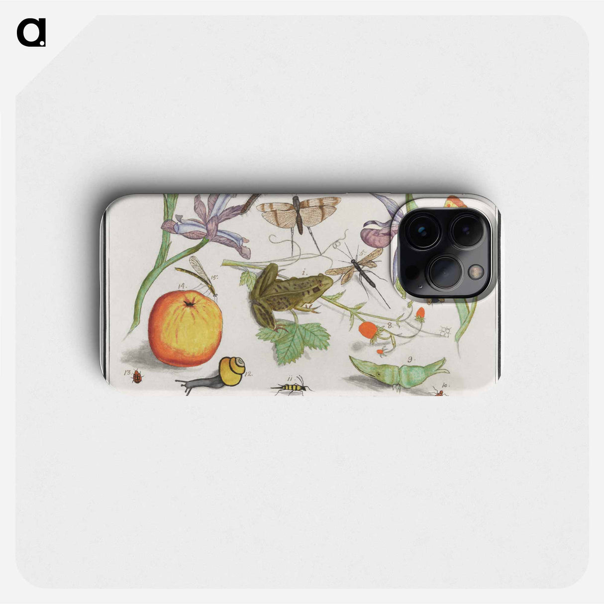 Natural History Ensemble, no. 12 - アンセルムス ボエティウス デ ブート Phone Case.