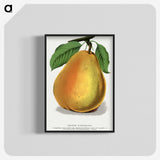 1-30_Botanical-Specimen-Plates_blk-crop