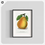 1-30_Botanical-Specimen-Plates_blk