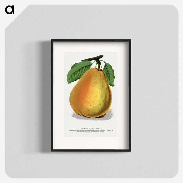 1-30_Botanical-Specimen-Plates_blk