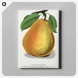 1-30_Botanical-Specimen-Plates_canvas