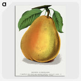 1-30_Botanical-Specimen-Plates_picture-crop