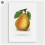 1-30_Botanical-Specimen-Plates_picture