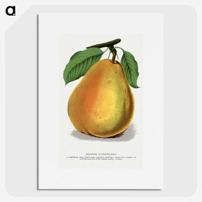 1-30_Botanical-Specimen-Plates_picture