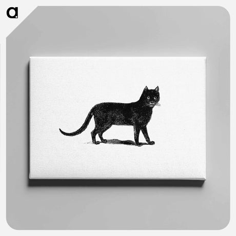 アートパネル-European Cat Engraving
 - 大英図書館 Canvas.