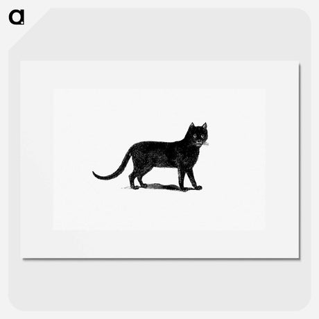 アートポスター-European Cat Engraving
 - 大英図書館 Poster.