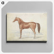 1-30_Charles-Hamilton-Smith_canvas