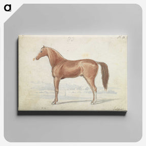 1-30_Charles-Hamilton-Smith_canvas