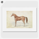 1-30_Charles-Hamilton-Smith_picture
