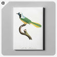 1-30_Des-Oiseaux-de-Paradis_canvas