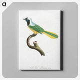 1-30_Des-Oiseaux-de-Paradis_canvas