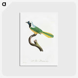 1-30_Des-Oiseaux-de-Paradis_hagaki