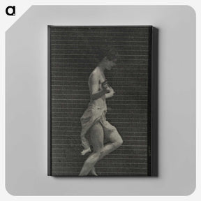 1-30_Eadweard-Muybridge_canvas