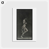 アートポストカード-Skipping Woman
 - エドワード マイブリッジ Postcard.