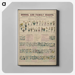 1-30_Education-Charts_canvas