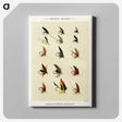 1-30_Favorite-Flies-and-Their-History_canvas