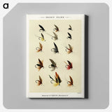 1-30_Favorite-Flies-and-Their-History_canvas