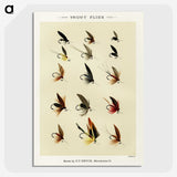 1-30_Favorite-Flies-and-Their-History_picture-crop