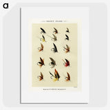1-30_Favorite-Flies-and-Their-History_picture