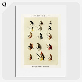1-30_Favorite-Flies-and-Their-History_picture