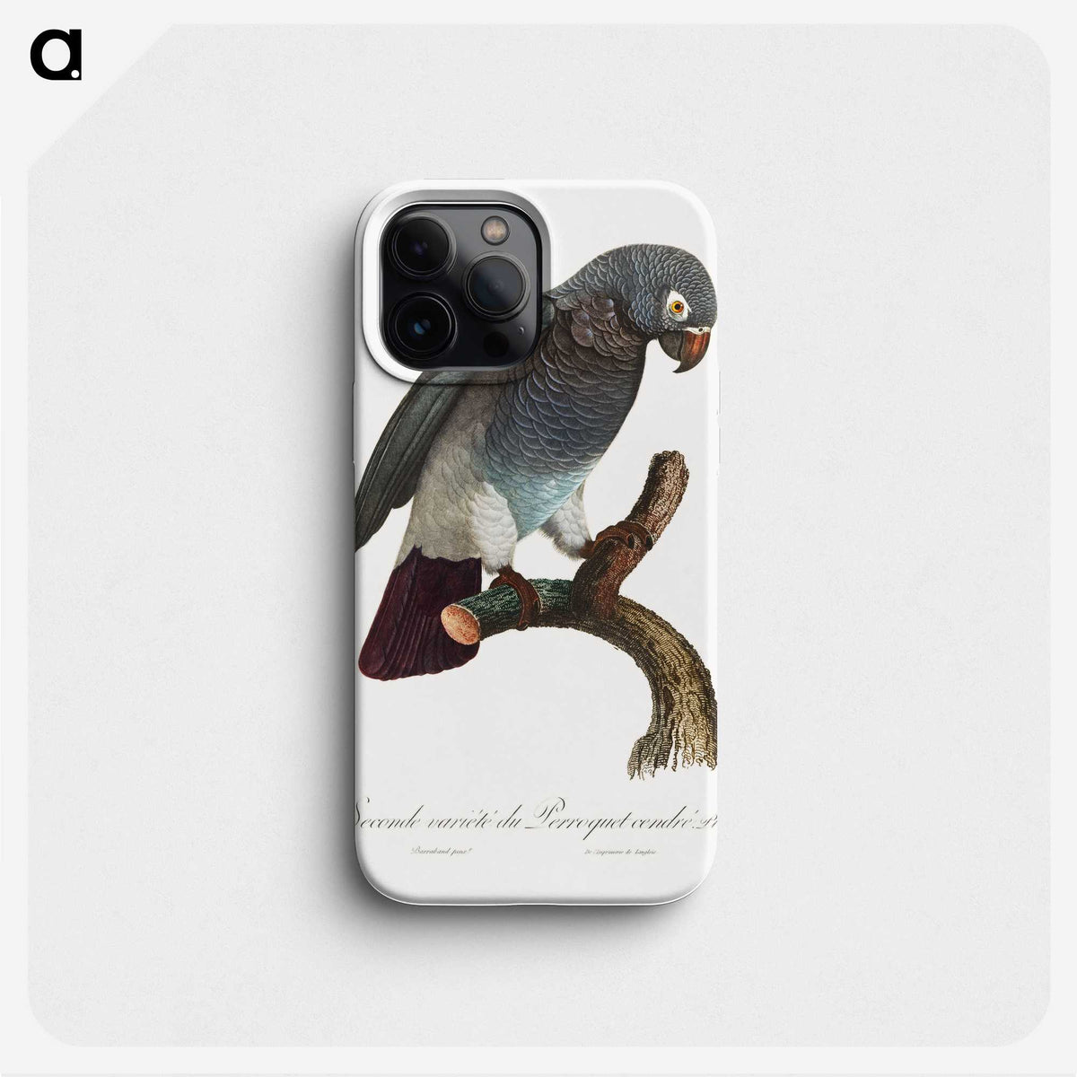 1-30_Francois-Levaillant_phone