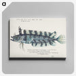 1-30_Frank-Edward-Clarke_canvas