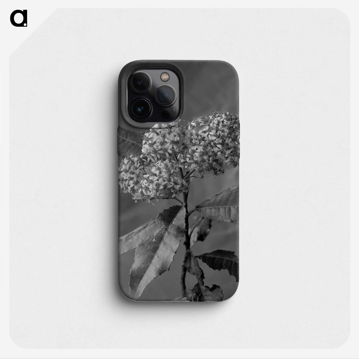 1-30_Frederick-Charles-Brockett_phone