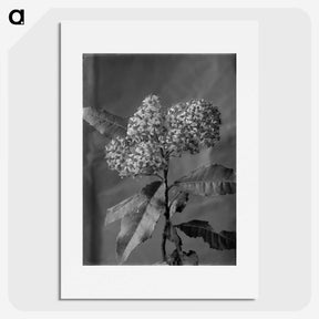 1-30_Frederick-Charles-Brockett_picture