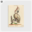 1-30_George-Edwards_postcard
