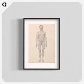 アートポスター-Human Figure, Anterior View
 - ジョージ スタッブス Poster.