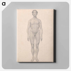 アートパネル-Human Figure, Anterior View
 - ジョージ スタッブス Canvas.