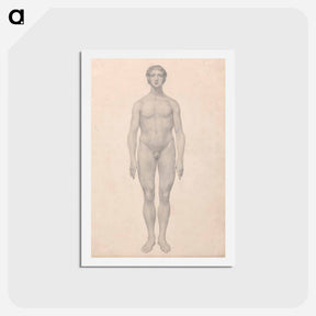 アートポストカード-Human Figure, Anterior View
 - ジョージ スタッブス Postcard.