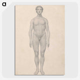 1-30_George-Stubbs_picture-crop