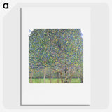 1-30_Gustav-Klimt_picture