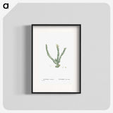 1-30_Histoire-des-Plantes-Grasses_blk
