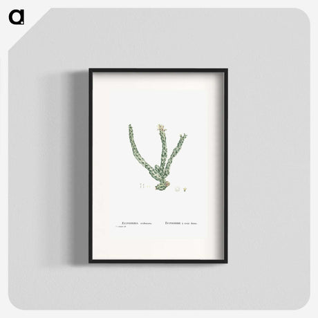 1-30_Histoire-des-Plantes-Grasses_blk