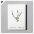 1-30_Histoire-des-Plantes-Grasses_canvas