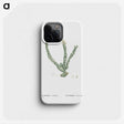 1-30_Histoire-des-Plantes-Grasses_phone