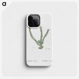 1-30_Histoire-des-Plantes-Grasses_phone
